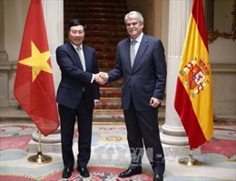 Dấu mốc quan trọng thúc đẩy quan hệ Việt Nam - Tây Ban Nha 